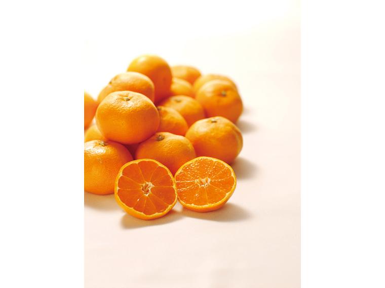 糖度保証　有田（和歌山）みかん 600g（2S〜L）