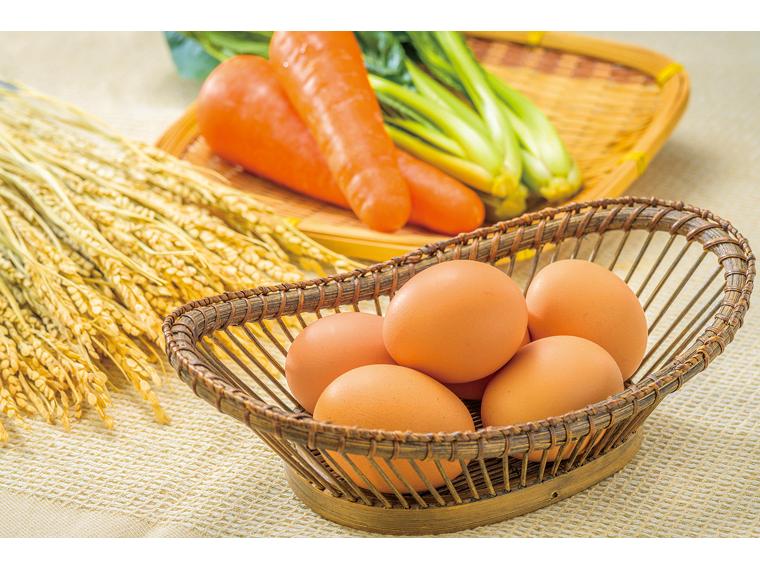 平飼い　やさしい　ひたち野　穂の香卵 10個（MS〜LL込）