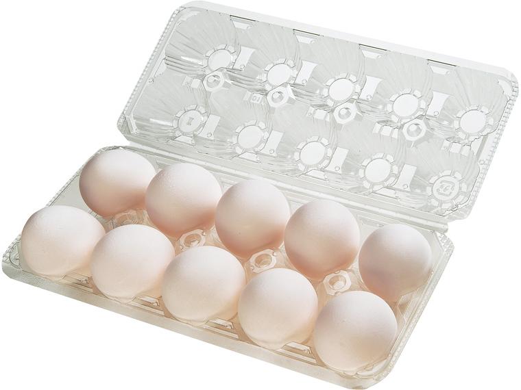 房総たまご　１０個　　　　　　　　　　