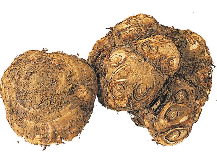 八つ頭 500g（1〜2個）