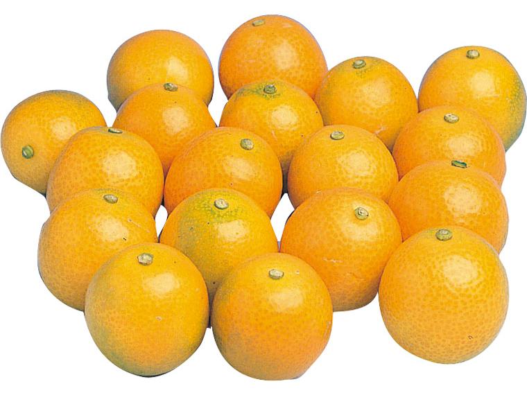 金柑(きんかん) 250g