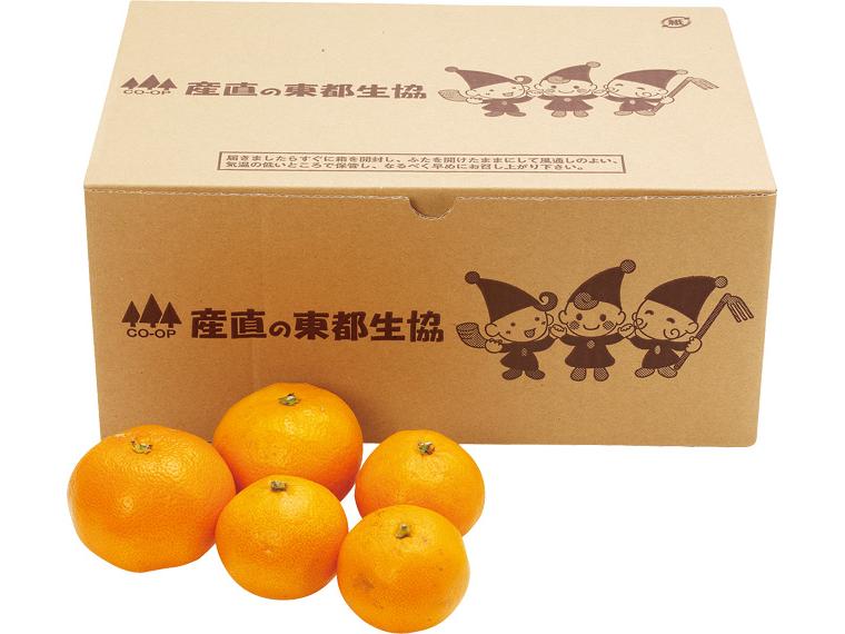 愛媛みかん(南柑20号) 2kg箱（S〜2L）大小込み