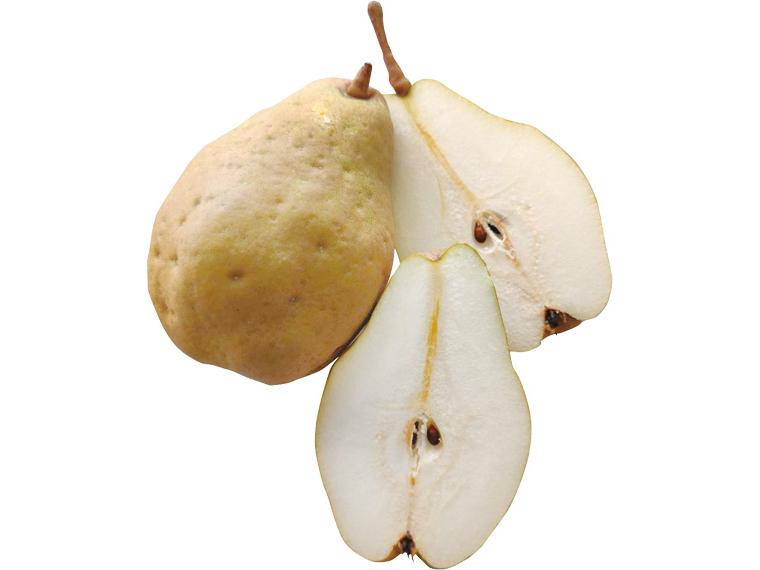 洋梨(シルバーベル) 2玉（750g）