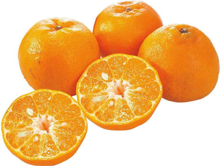 屋久島ポンカン 800g（M〜2L）