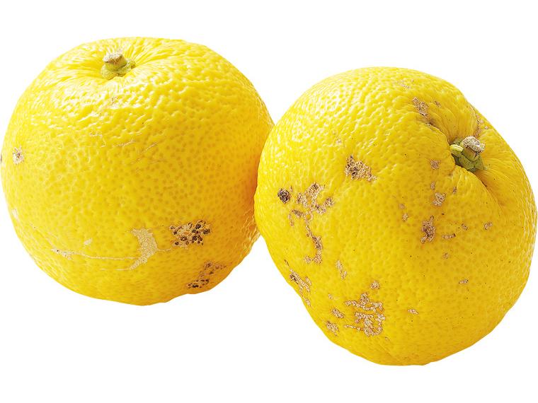 もったいないゆず 2玉