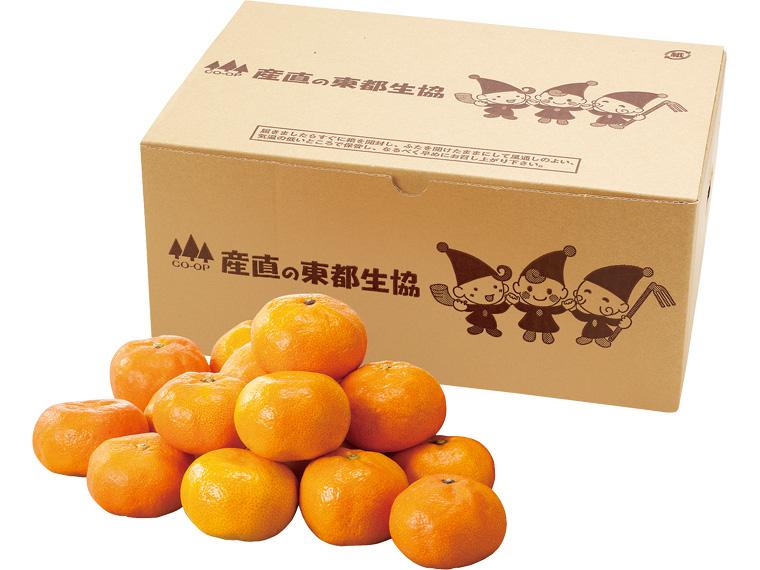 糖度保証　有田（和歌山）みかん 2kg箱（2S〜L）