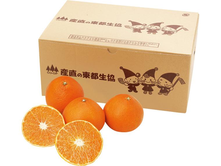 ハウス愛媛まどんな 2ｋｇ箱（9〜16玉）