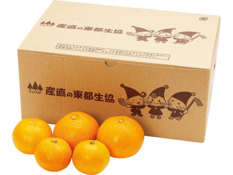 紀ノ川(和歌山)みかん 2kg箱（2S〜L）