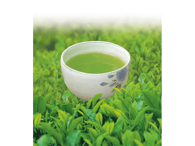 早割　知覧茶（深むし茶） 100g×2