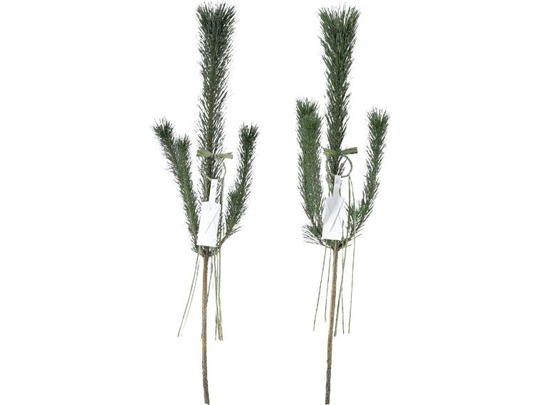 早割　門松一対輪飾りセット 門松一対輪飾りセット