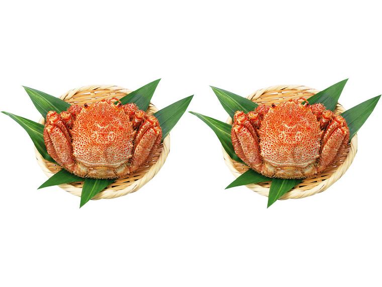 北海道枝幸産毛がに 2尾880g