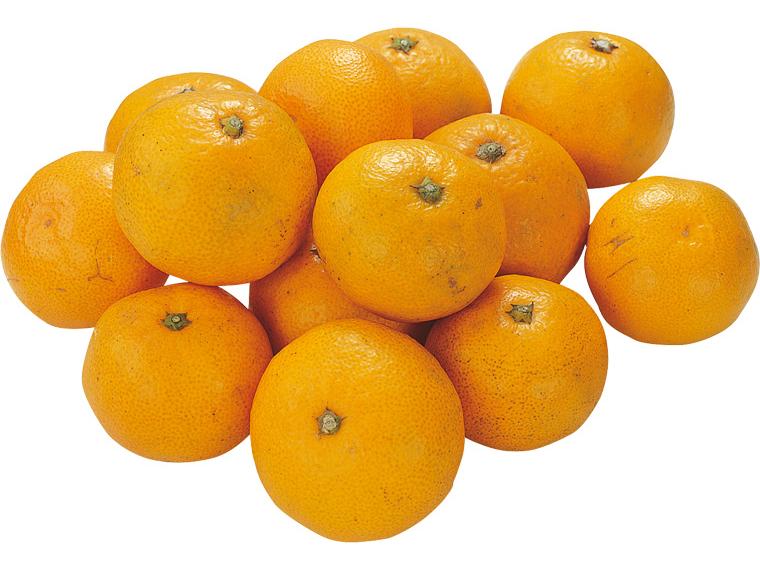 みかん(大袋） 1.2kg（S〜2L）