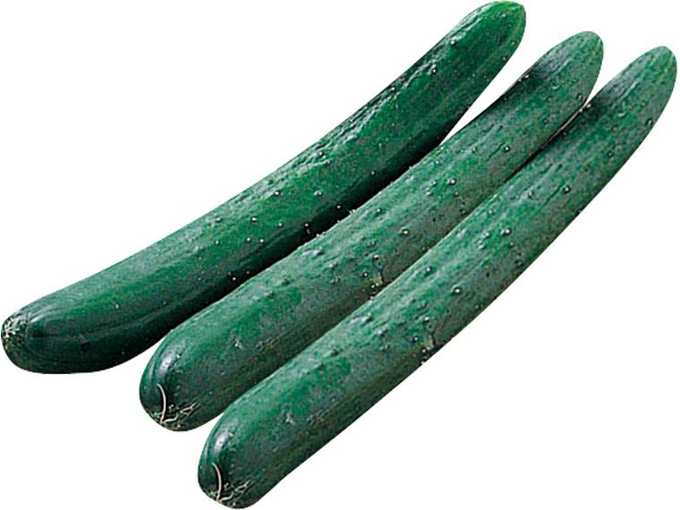 ブルームきゅうり３本　　　　　　　　　