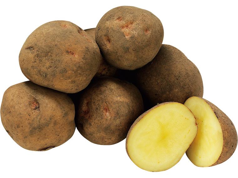 雪氷室貯蔵じゃがいもきたあかり７００ｇ