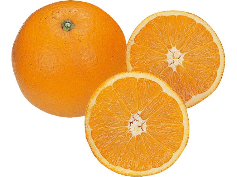 ネーブルオレンジ 600g（2〜4玉）（M〜3L）