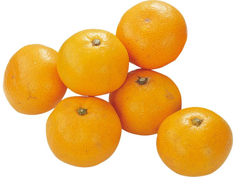 みかん 600g（S〜2L）