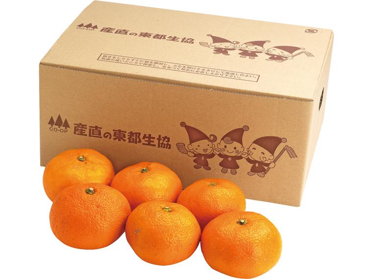 青島みかん（箱規格） 2kg箱（M〜3L）