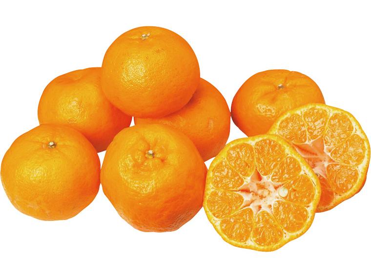 ポンカン（大袋） 1.2kg（M〜3L）