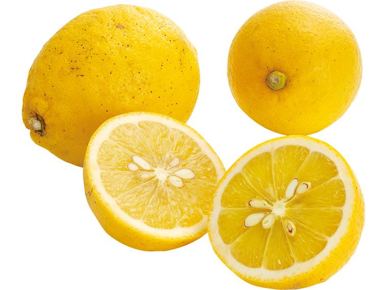 福岡自然農園の無無レモン 400g（3〜6玉）