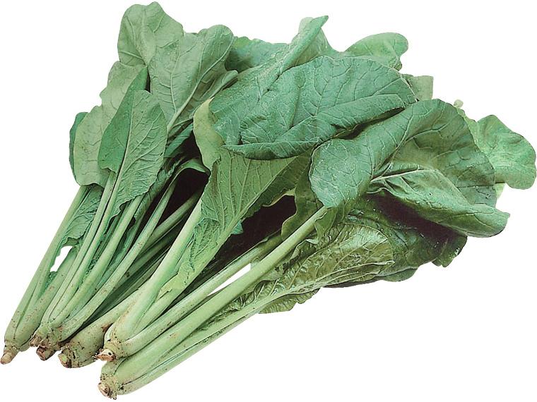 有機小松菜 200g