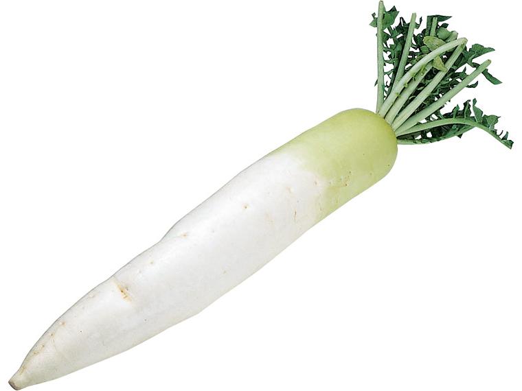 洗い大根（葉切り）１本（８００ｇ）　　