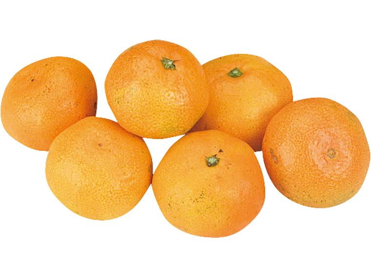 有機みかん 600g（2S〜2L）