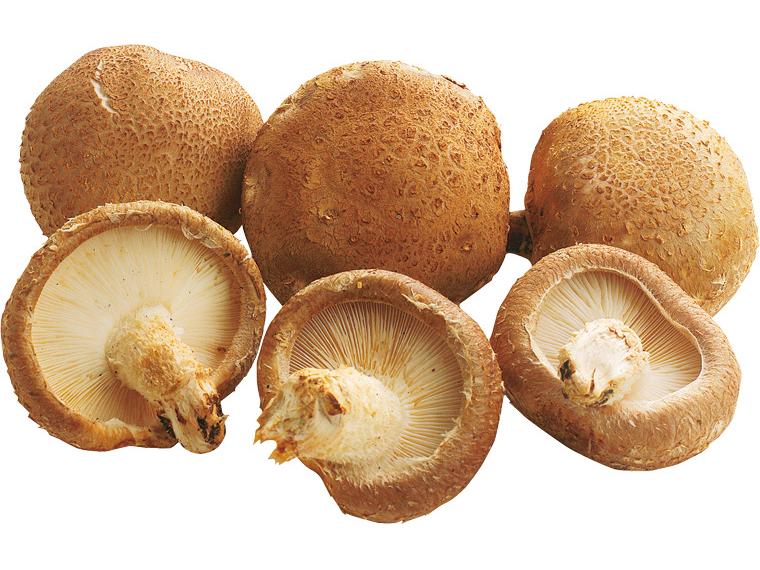 生しいたけ（菌床栽培）１００ｇ　　　　