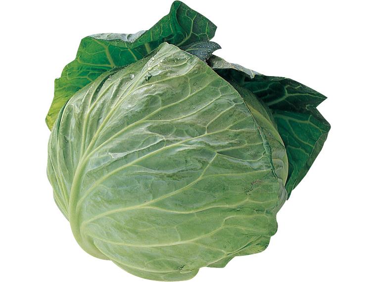 早春キャベツ１玉（春系）　　　　　　　