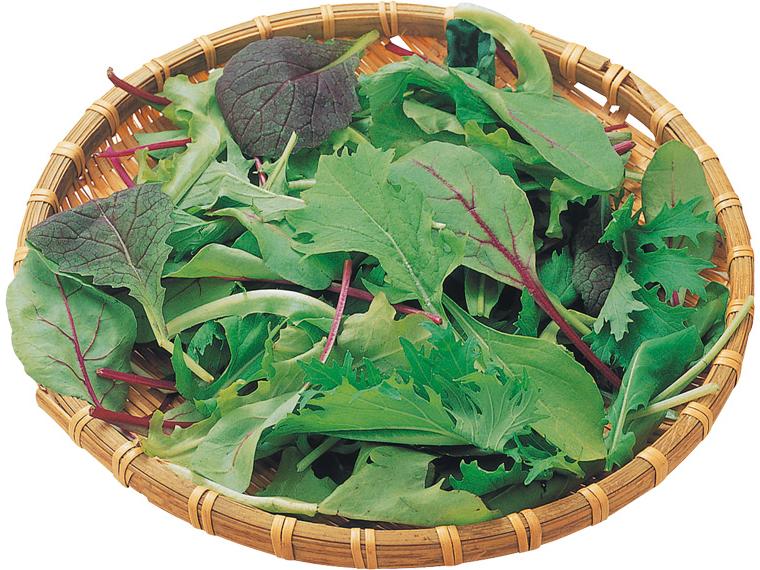 有機ベビーリーフ 40g