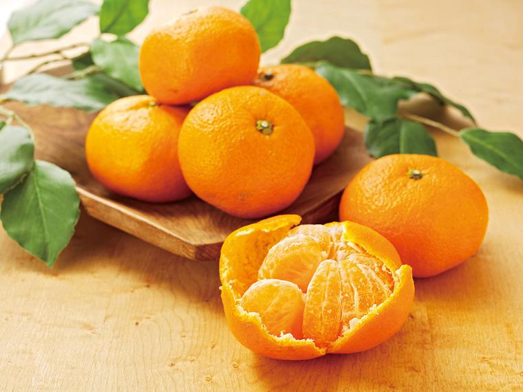 青島みかん 800g（M〜3L）