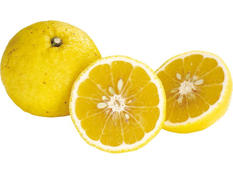 はるか 500g（2〜4玉）（S〜3L）