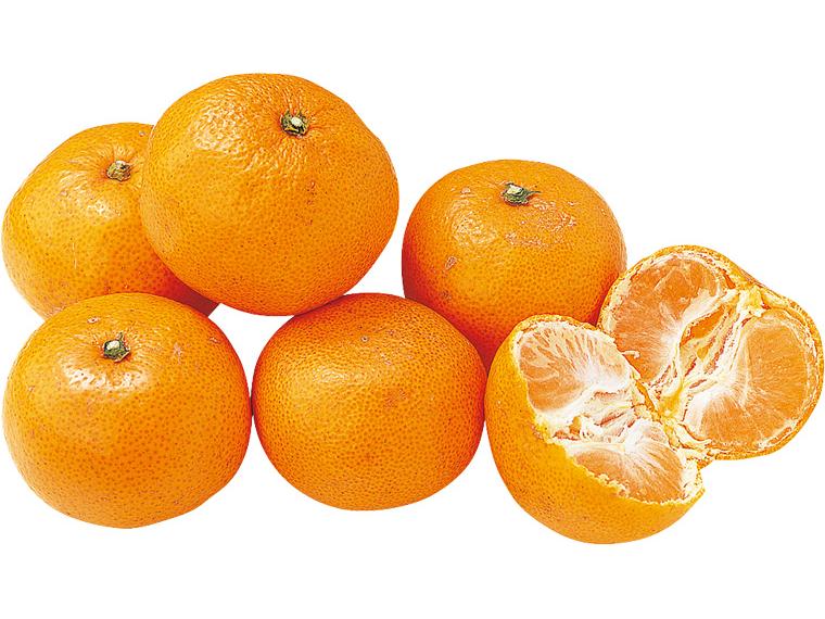 越冬木熟みかん 600g（2S〜L）