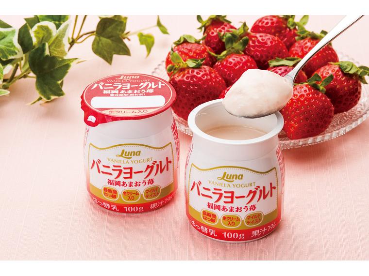 バニラヨーグルト　福岡あまおう苺 100g×6