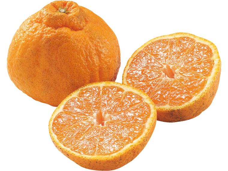 大玉不知火(しらぬい) 2玉450g（2L〜3L）