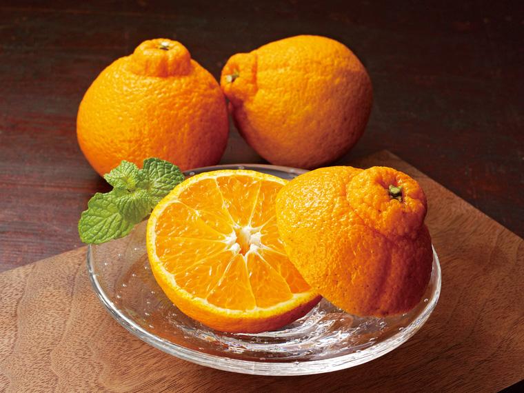 大玉不知火(しらぬい) 2玉450g（2L〜3L）