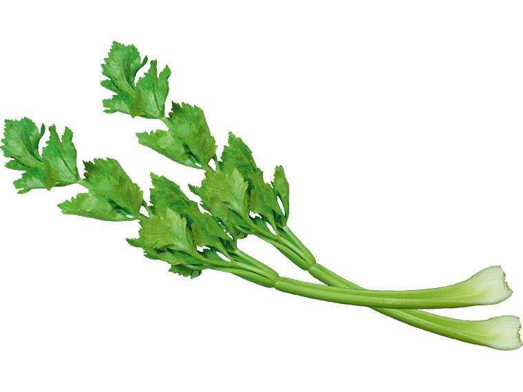 有機塩セロリ 200g