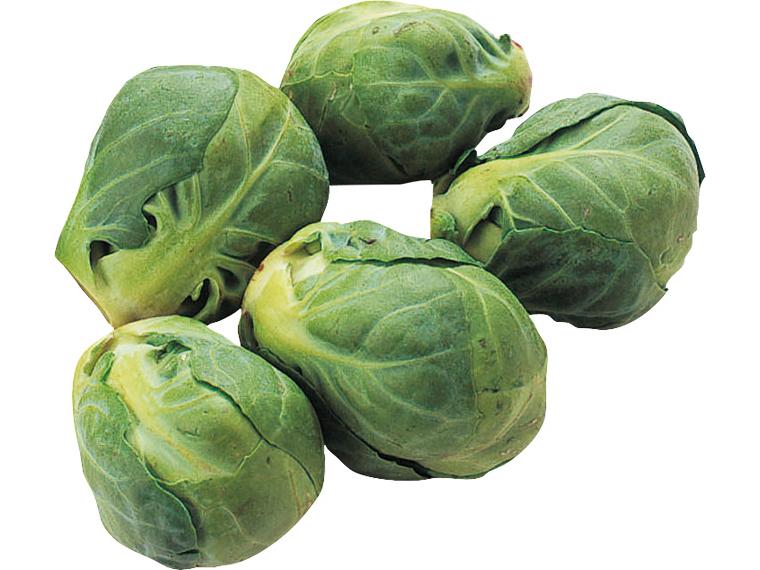 芽キャベツ 100g（5〜15玉）