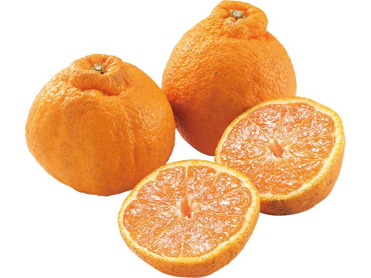 不知火(しらぬい) 550g（3〜4玉）（M〜3L）