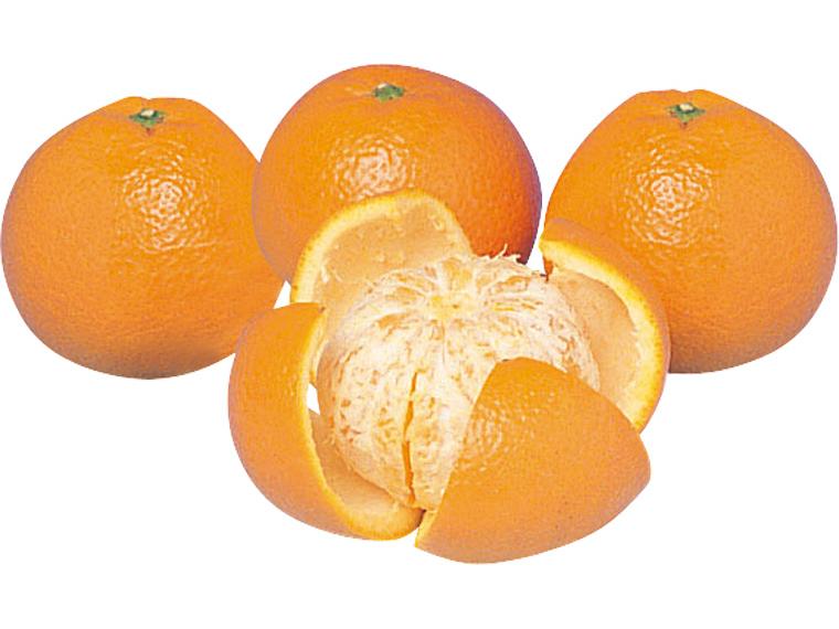 いよかん（大袋） 1.2kg（4〜8玉）（M〜3L）