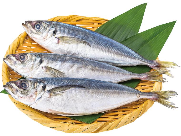 生からつくった真あじ下ごしらえ済み 3尾240g