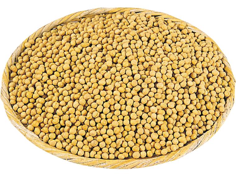 国産大豆（手作り味噌原料） 1kg