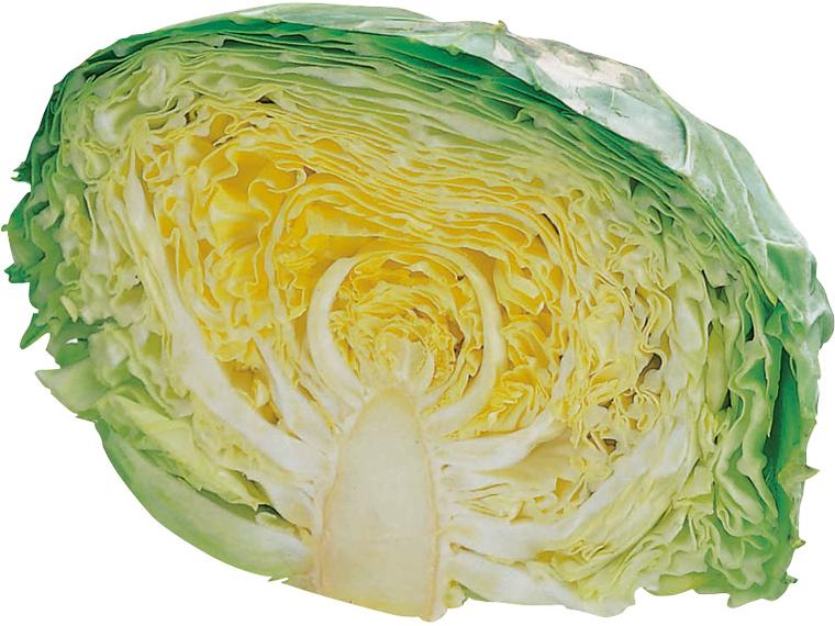 キャベツ（使い切り） 1/2玉ｶｯﾄ