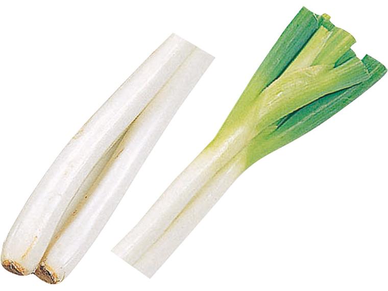 むき長ねぎ 250gｶｯﾄ