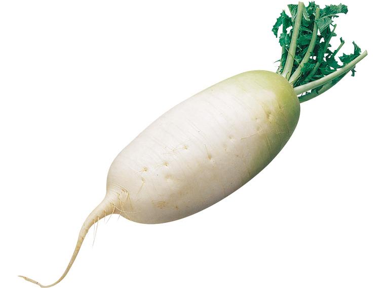 短大根 1本(400g)