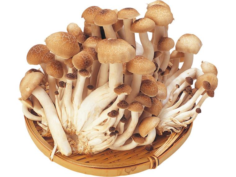 ぶなしめじ 200g