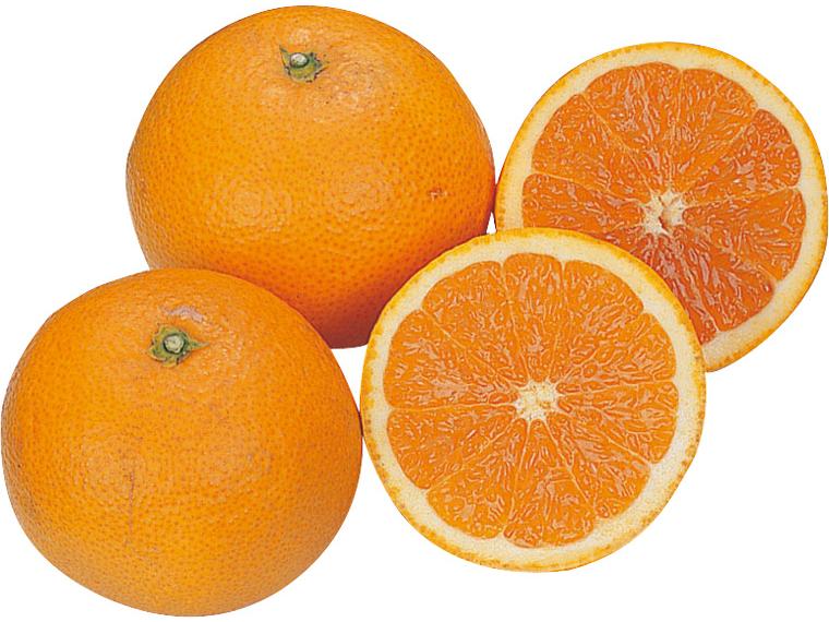清見オレンジ 700g（3〜5玉）（M〜2L）