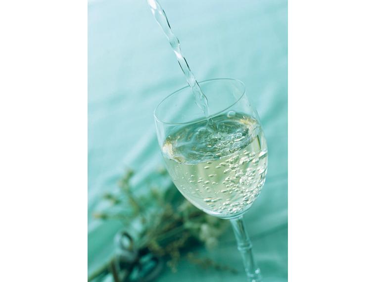 テール・ド・ソル　シャルドネ（白） 750ml