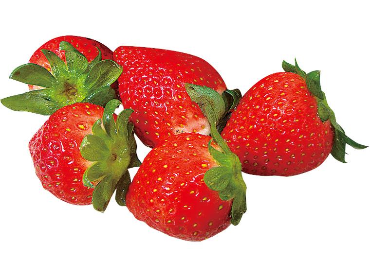 有機いちご（恋みのり） 140g（5〜12粒）