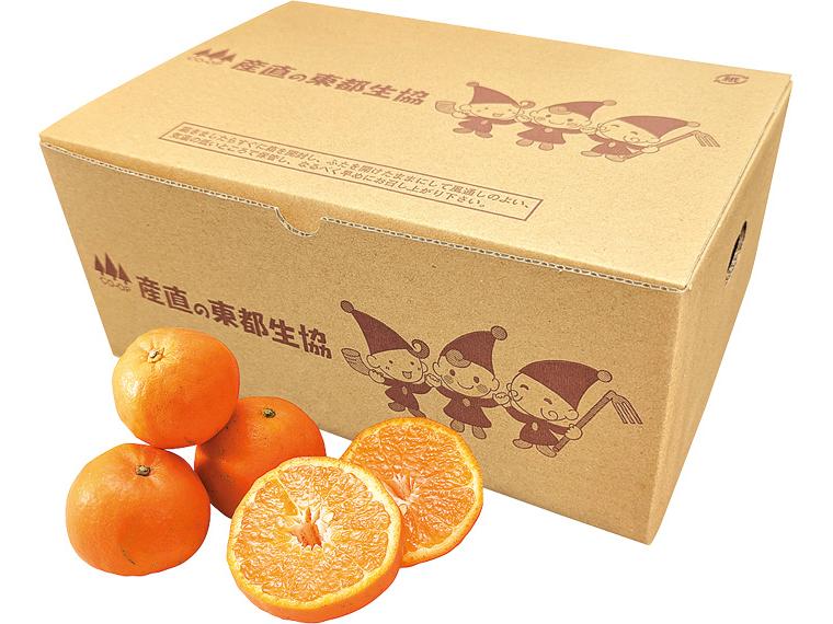 屋久島たんかん 2kg箱（8〜16玉）（S〜3L）