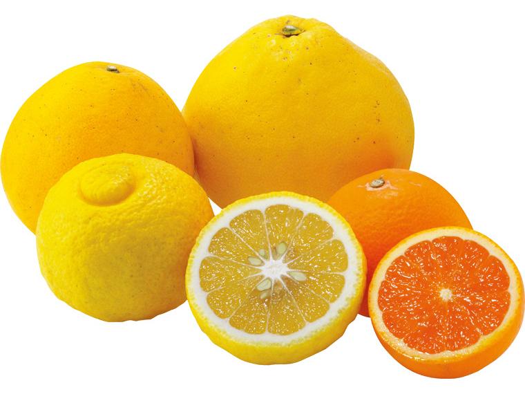 朝のかんきつ(お試し企画） 4種